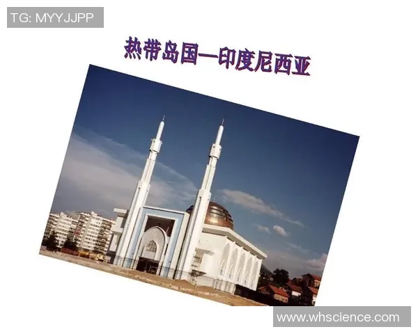 男篮红队精彩对决印度尼西亚全场回放分析与精彩瞬间回顾